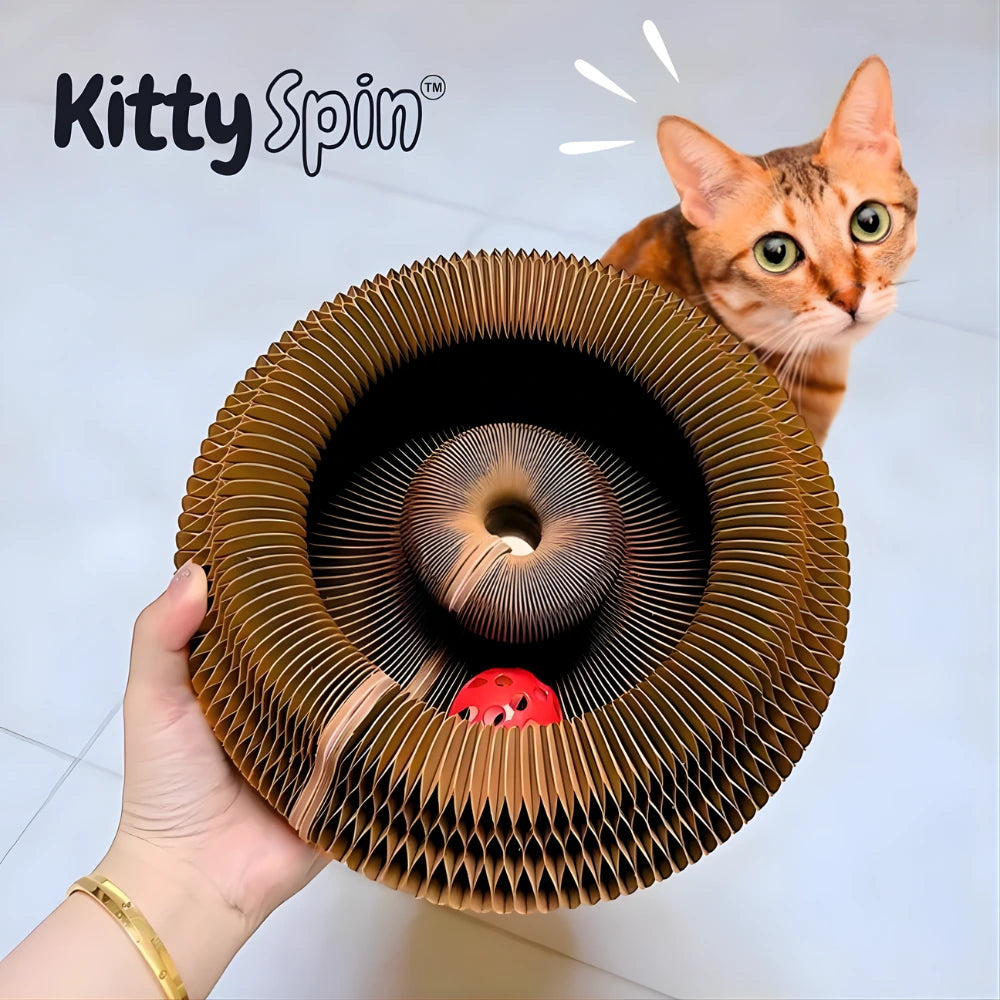 KittySpin™ | Tiragraffi interattivo per gatti