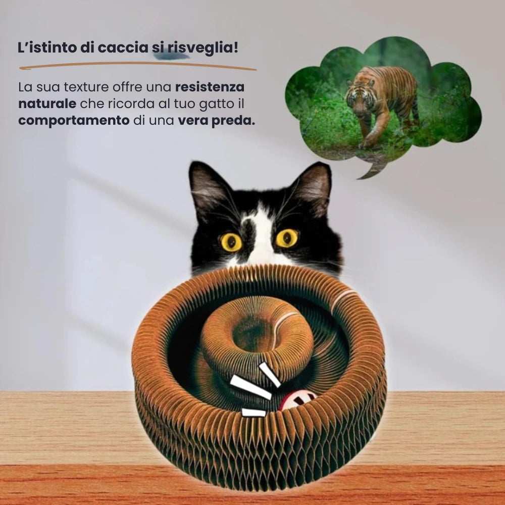 KittySpin™ | Tiragraffi interattivo per gatti