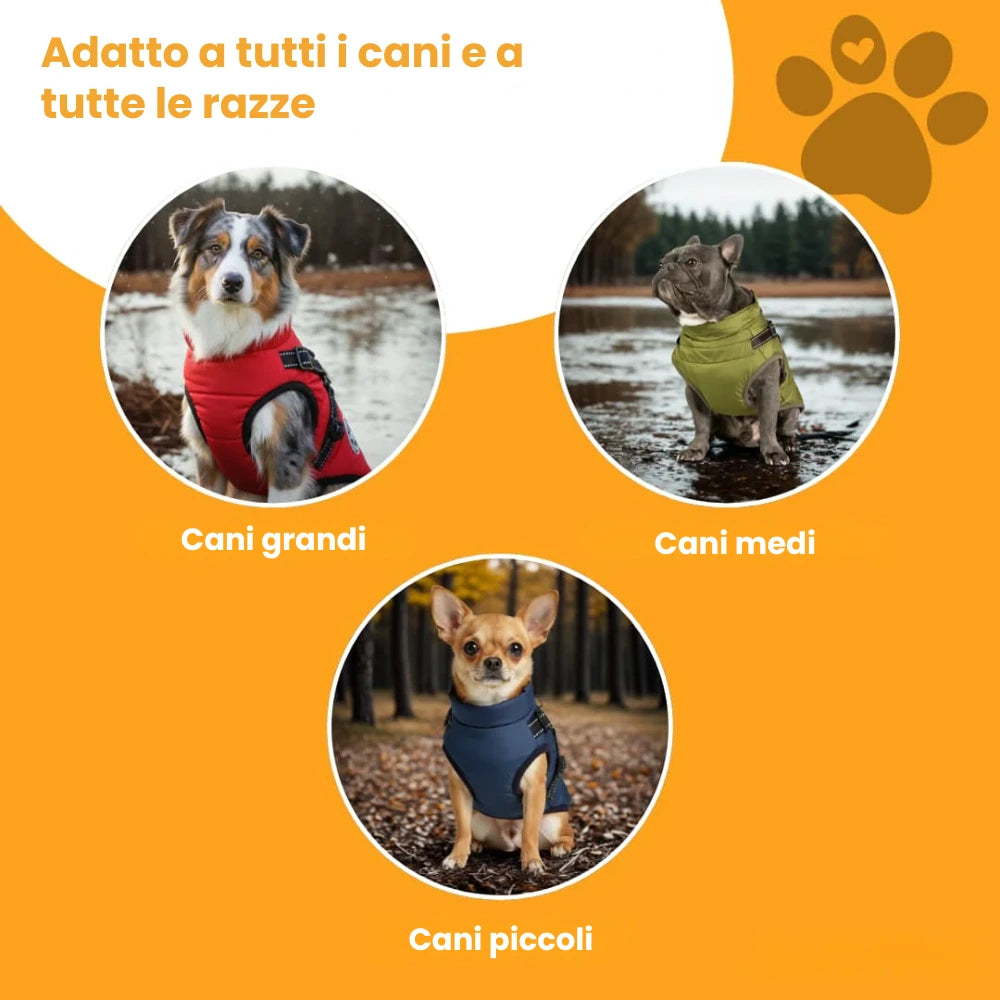 Cappotto invernale 3 in 1