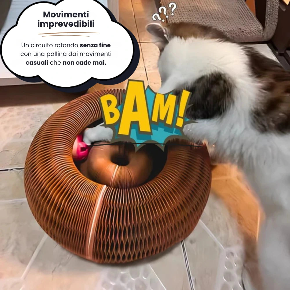 KittySpin™ | Tiragraffi interattivo per gatti